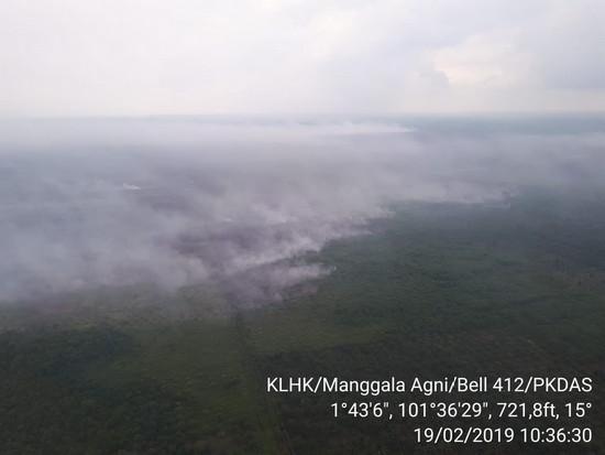 843 Hektare Lahan Terbakar, Riau Terancam Diselimuti Kabut Asap
