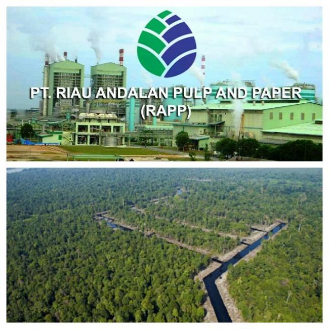 15 Tahun, RAPP Sumbang Rp 2,20 Triliun pada APBN