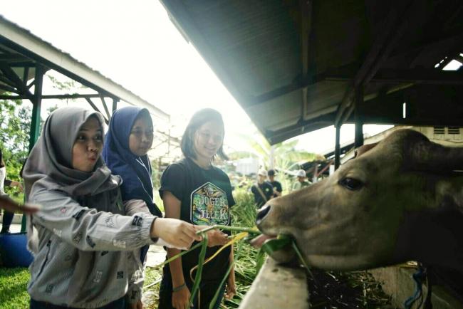 Program TFWoF, Edukasi Hutan untuk Generasi Muda
