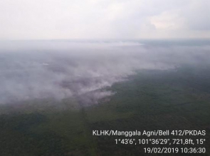 843 Hektare Lahan Terbakar, Riau Terancam Diselimuti Kabut Asap