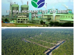 15 Tahun, RAPP Sumbang Rp 2,20 Triliun pada APBN