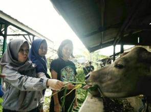 Program TFWoF, Edukasi Hutan untuk Generasi Muda
