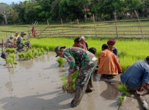 Wujudkan Swasembada Pangan, Satgas Yonif 132/BS, Jalin Kebersamaan Dengan Masyarakat Perbatasan