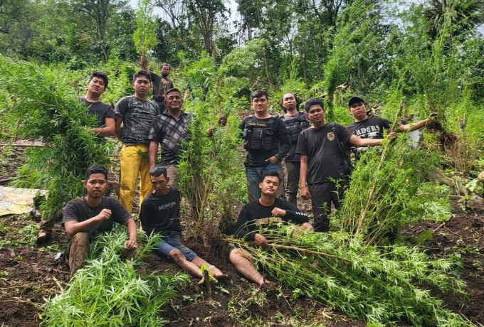 9 jam Berjalan Kaki, Kapolres Empat Lawang Temukan 2 HA Ladang Ganja.