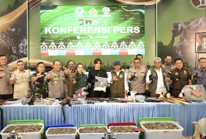 Aktivis Satwa Puji Kecepatan Polda Riau Tangkap Pemburu Gajah: Sejarah Baru!