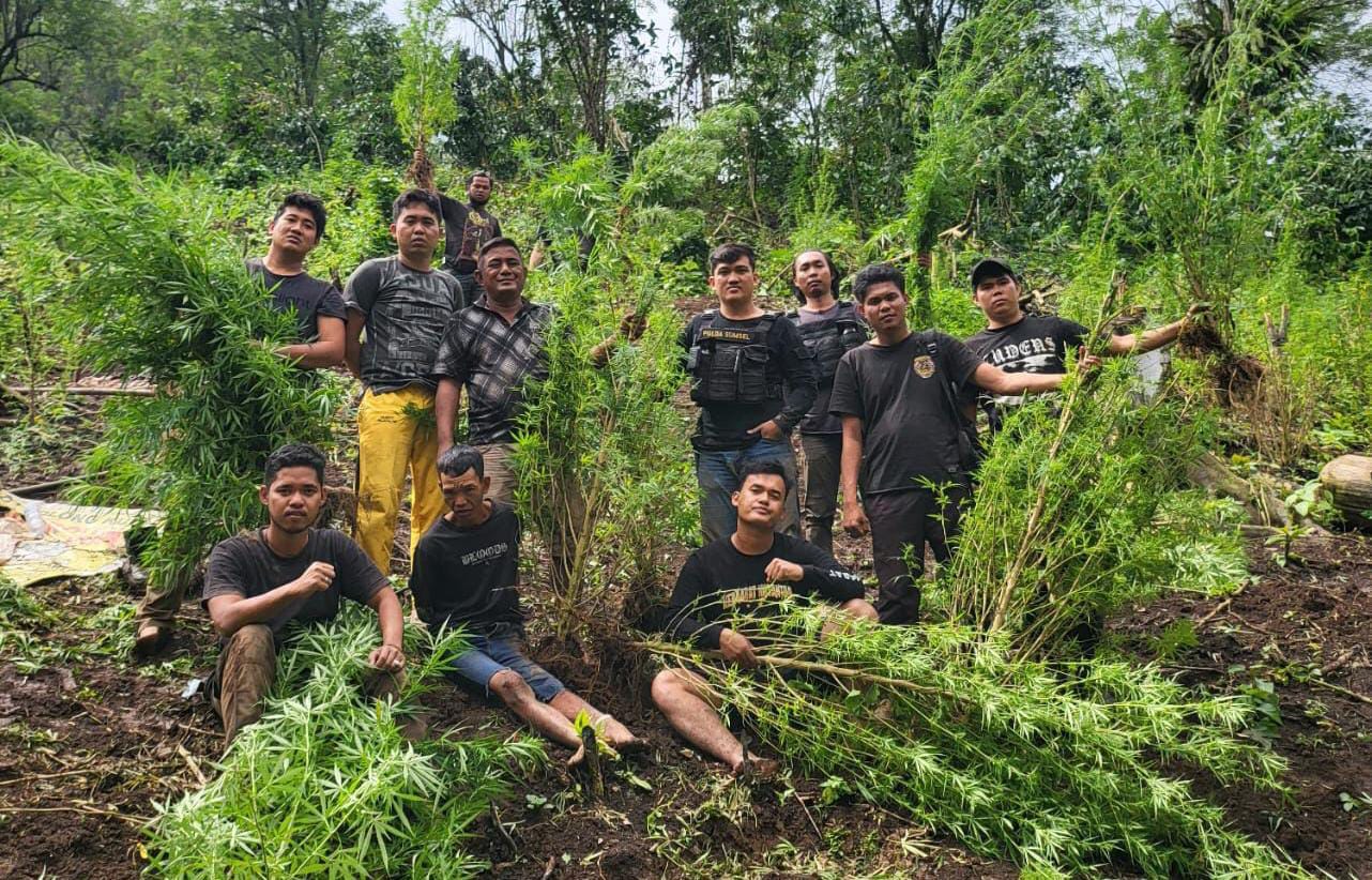 9 jam Berjalan Kaki, Kapolres Empat Lawang Temukan 2 HA Ladang Ganja.